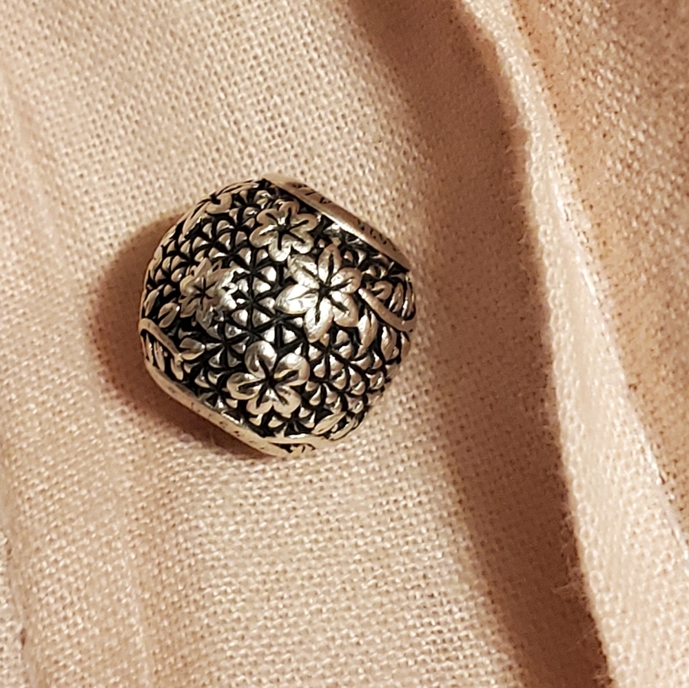 Pandora charm